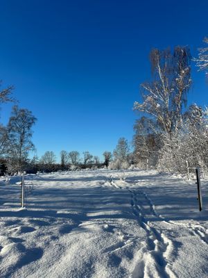 Skogsnära stuga i Ludvigsborg - Bild 16