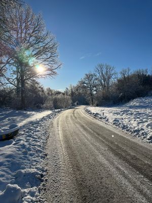 Skogsnära stuga i Ludvigsborg - Bild 15