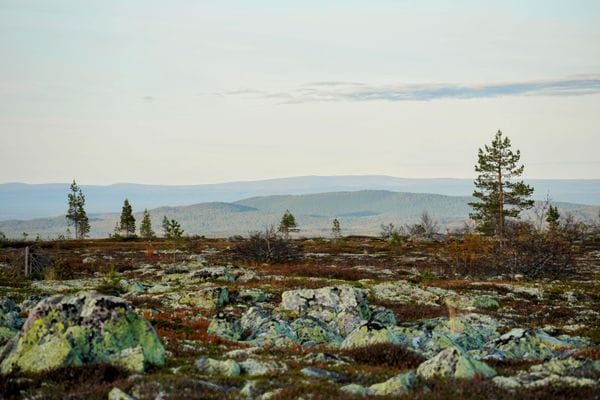 Mysig stuga i Särna, toppen för aktiviteter... - Bild 43