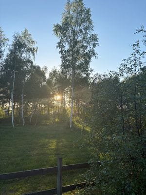Fin stuga i Mellbystrand vid sandstrand - Bild 22