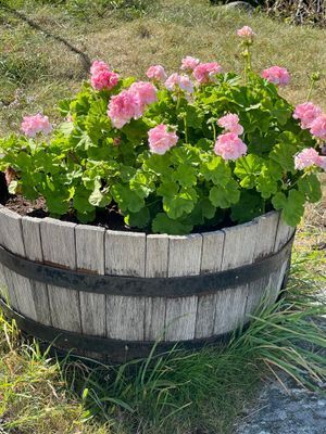 Bed & Breakfast på Käringön - Bild 19