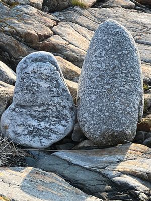 Bed & Breakfast på Käringön - Bild 20