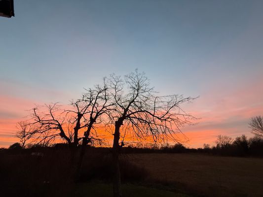 Mysig stuga i Byxelkrok, 1km till hav och strand - Bild 30