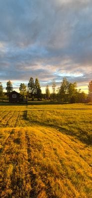 Stuga på fäbod - Bild 16