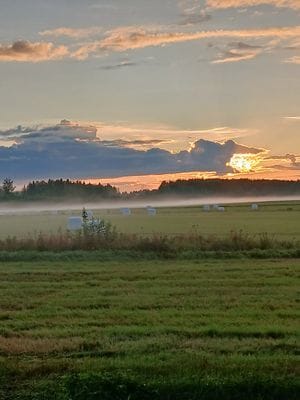Mysig stuga i allmogestil, Sandnäset nära Luleälv. - Bild 29