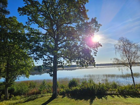 Stuga med fiske och bad vid sjö - Bild 11