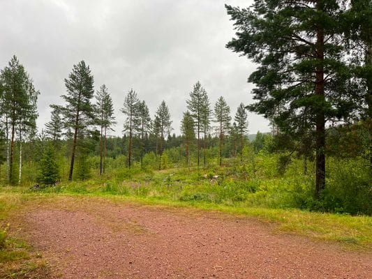 Gesunda, Tomteland, Dalarna, Sollerön, Leksand - Bild 12