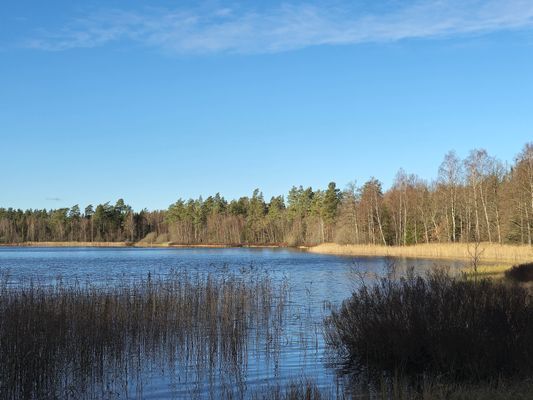 Hel gård från 1790 vid sjö – 2 hus – avskilt läge - Bild 48