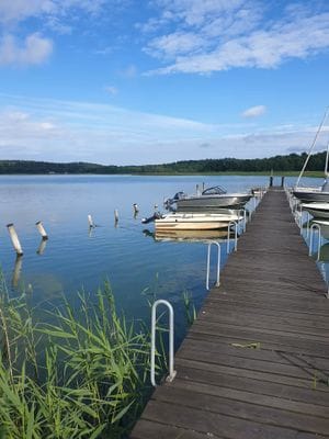 Modern och mysig stuga i skogen - Bild 19