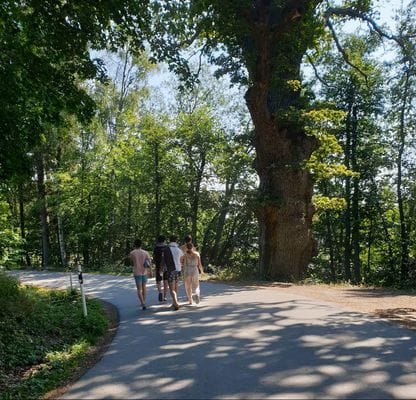 Modern och mysig stuga i skogen - Bild 18