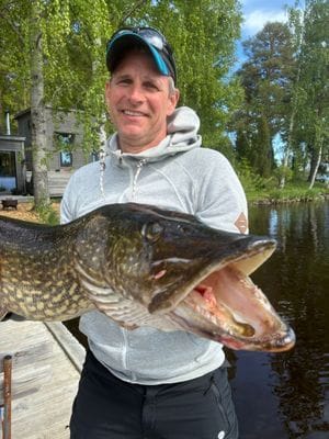Sjöhuset - båtar, strand, bastu, brygga och grill! - Bild 62