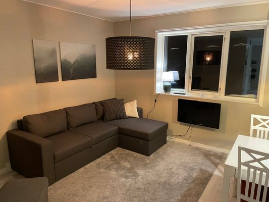 Långberget nära spårcentralen, från 500kr/natt - Bild 7