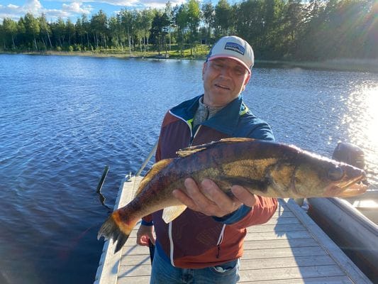 Sjöhuset - båtar, strand, bastu, brygga och grill! - Bild 66