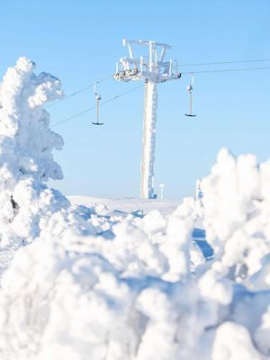 VILLA SKALSVALLEN, Skalets torg, inomhusbordtennis - Bild 106