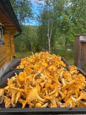 Stuga centralt i Ramundberget, Skarssvängen 14 - Bild 36