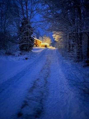 STUGA MED BASTU,BÅT+MOTOR,FISKE I SPADEN OCH FEGEN - Bild 34