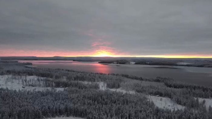 Skogsidyll i Jämtland - natur, lugn - Bild 14