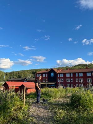 Kungsberget, Järbo - Bild 47