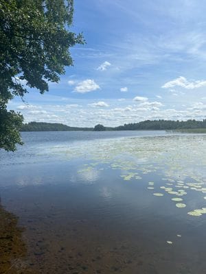 Mysigt torp - Bild 41