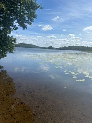 Mysigt torp - Bild 44
