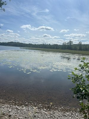 Mysigt torp - Bild 45