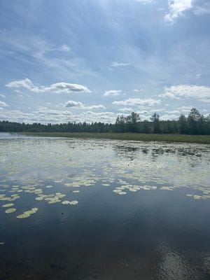Mysigt torp - Bild 42