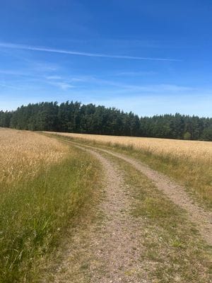 Mysigt torp - Bild 43