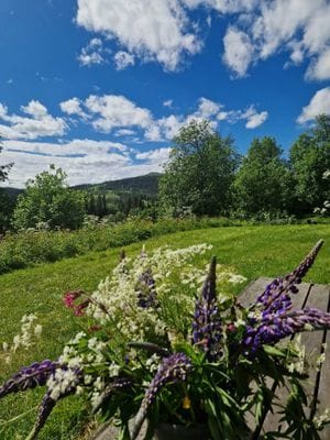 Mycket fint fjällhus nära Åre - Bild 6