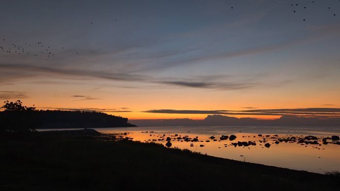 Stuga Vid Havet i Lickershamn - Bild 14