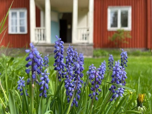 Charmigt och en, skilt torp - Bild 14