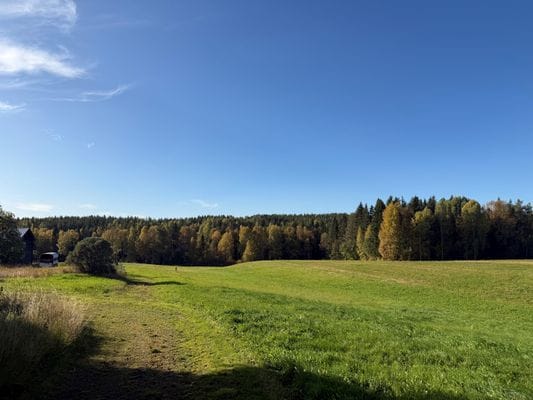 Lantligt hus nära Skellefteå – natur, lugn - Bild 10