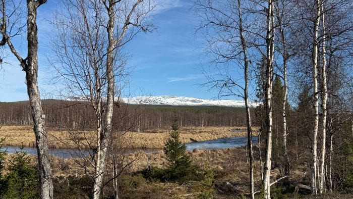Lyxig Mountain Lodge i Idre - Bild 22