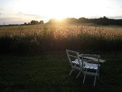 Charmigt Torp i Dalsland - Bild 5