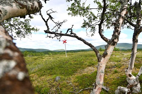 Arkitektritat fjällhus i Tänndalen - Bild 49