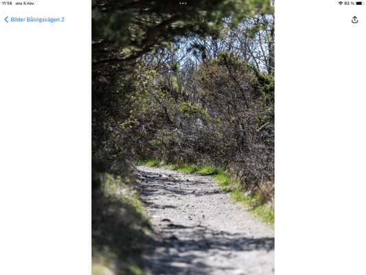 Charmig stuga - Bild 14