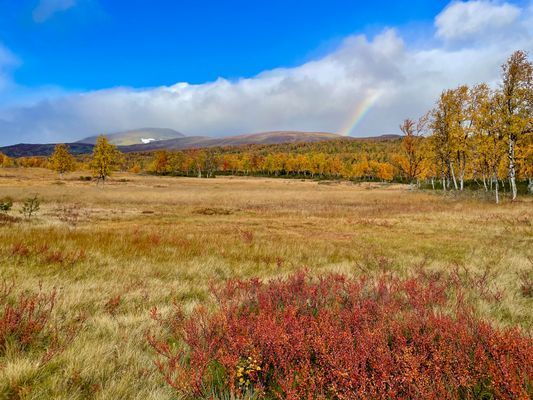 Arkitektritat fjällhus i Tänndalen - Bild 57