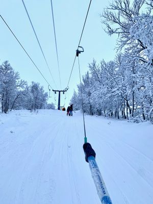 Arkitektritat fjällhus i Tänndalen - Bild 43
