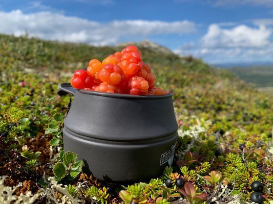 Arkitektritat fjällhus i Tänndalen - Bild 56