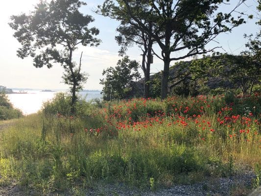 Hus på egen ö, Bergön utanför Arkösund, skärgård - Bild 6