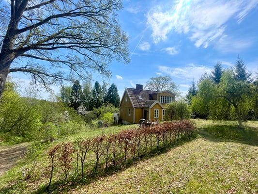 Mysig sommar hus i skogen och nära sjö - Bild 6
