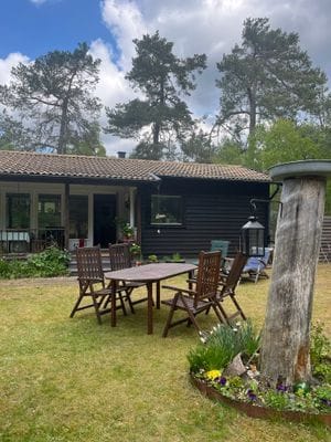 matplats i trädgården