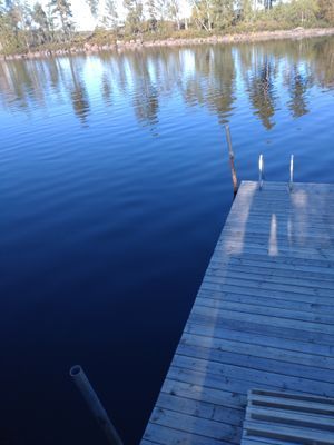 Friggebod vid sjö med bastu. Digital detox. - Bild 12