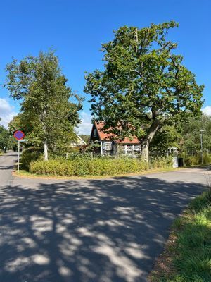 Strandnära i Havsbaden Ängelholm - Bild 13