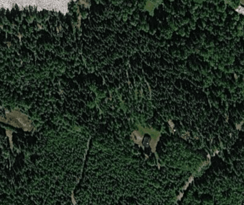 En pärla mitt ute i skogen intill en sjö. - Bild 22