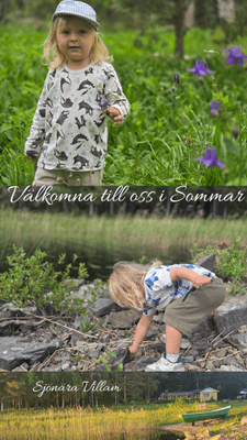 En idyllisk tillflykts plats vid sjön