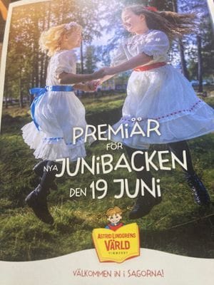 Stuga (Drängstuga) 25 km till Astrid Lindgren-Byn - Bild 26