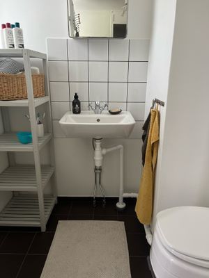 Naturskön idyll i norra skärgården - Bild 10