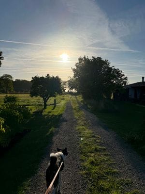 Närhet till havet