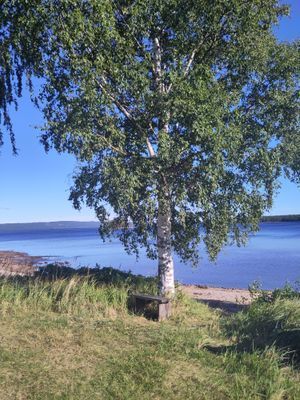 Välkommen till sjön i Strömbacka - Bild 6