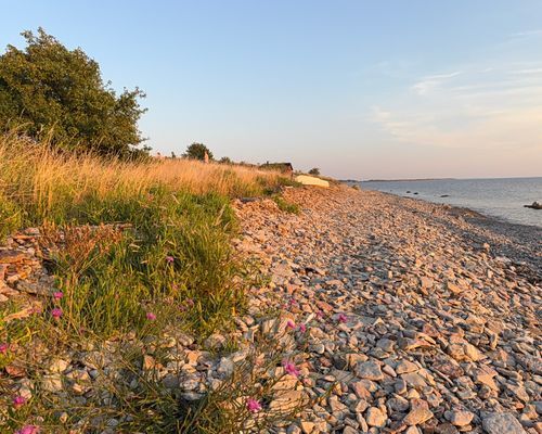 Insynsskyddad stuga i Djupvik/Lofta med stor tomt. - Bild 11
